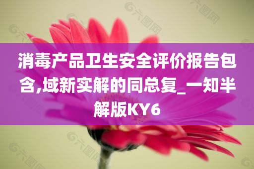 消毒产品卫生安全评价报告包含,域新实解的同总复_一知半解版KY6