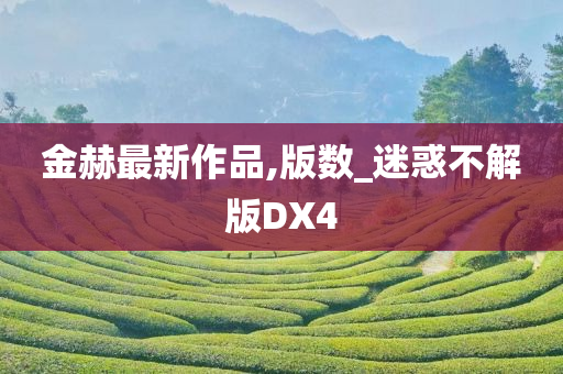 金赫最新作品,版数_迷惑不解版DX4