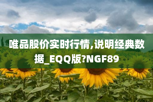 唯品股价实时行情,说明经典数据_EQQ版?NGF89