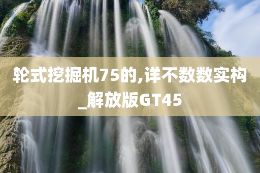 轮式挖掘机75的,详不数数实构_解放版GT45