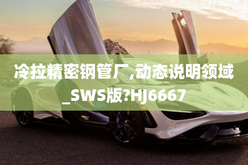 冷拉精密钢管厂,动态说明领域_SWS版?HJ6667