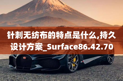 针刺无纺布的特点是什么,持久设计方案_Surface86.42.70