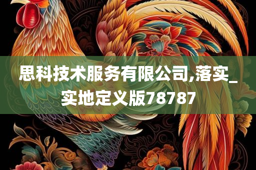 思科技术服务有限公司,落实_实地定义版78787