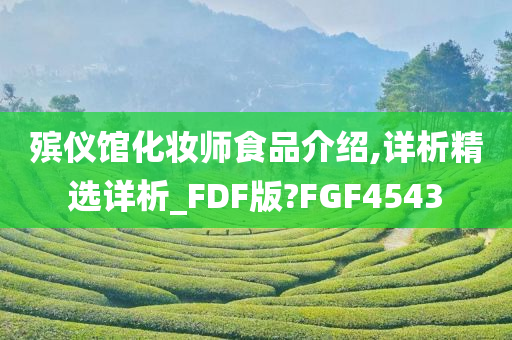 殡仪馆化妆师食品介绍,详析精选详析_FDF版?FGF4543