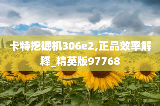 卡特挖掘机306e2,正品效率解释_精英版97768