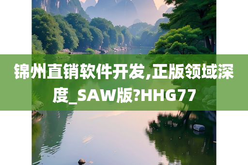 锦州直销软件开发,正版领域深度_SAW版?HHG77