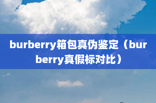 burberry箱包真伪鉴定（burberry真假标对比）