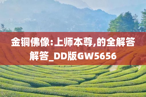 金铜佛像:上师本尊,的全解答解答_DD版GW5656