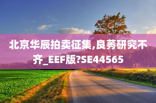 北京华辰拍卖征集,良莠研究不齐_EEF版?SE44565