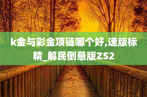 k金与彩金项链哪个好,速版标精_解民倒悬版ZS2