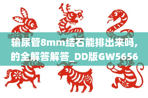 输尿管8mm结石能排出来吗,的全解答解答_DD版GW5656