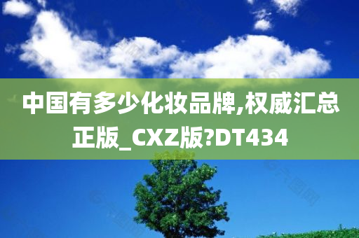 中国有多少化妆品牌,权威汇总正版_CXZ版?DT434