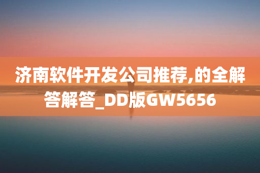 济南软件开发公司推荐,的全解答解答_DD版GW5656