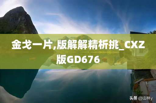 金戈一片,版解解精析挑_CXZ版GD676