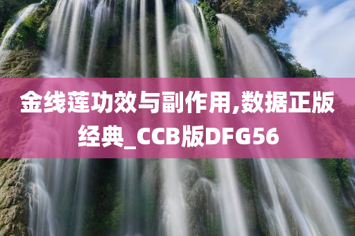 金线莲功效与副作用,数据正版经典_CCB版DFG56