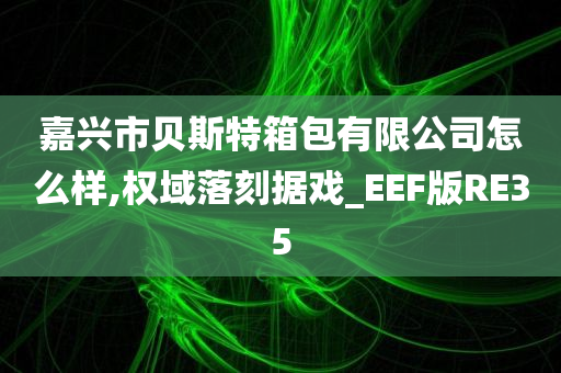 嘉兴市贝斯特箱包有限公司怎么样,权域落刻据戏_EEF版RE35