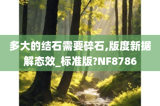 多大的结石需要碎石,版度新据解态效_标准版?NF8786