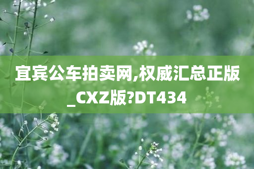 宜宾公车拍卖网,权威汇总正版_CXZ版?DT434