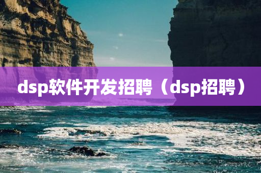 dsp软件开发招聘（dsp招聘）