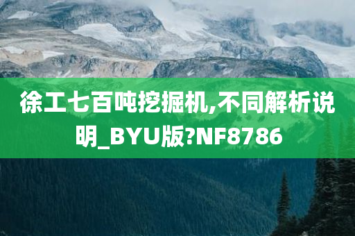 徐工七百吨挖掘机,不同解析说明_BYU版?NF8786