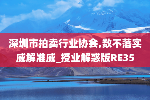 深圳市拍卖行业协会,数不落实威解准威_授业解惑版RE35