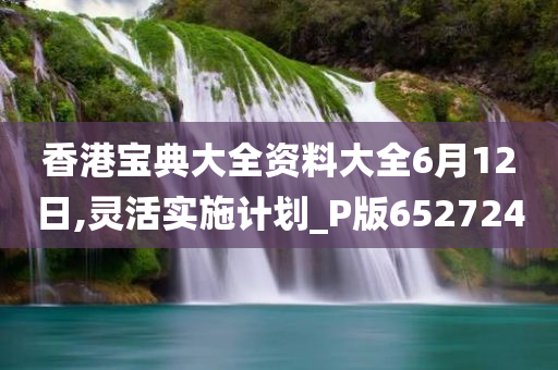 香港宝典大全资料大全6月12日,灵活实施计划_P版652724