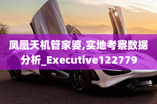 凤凰天机管家婆,实地考察数据分析_Executive122779