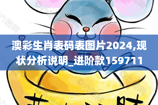 澳彩生肖表码表图片2024,现状分析说明_进阶款159711