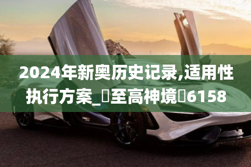 2024年新奥历史记录,适用性执行方案_‌至高神境‌6158