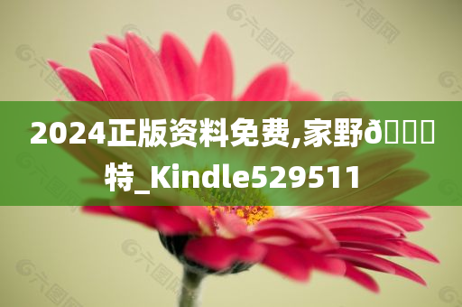 2024正版资料免费,家野🀄特_Kindle529511