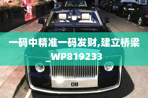 一码中精准一码发财,建立桥梁_WP819233