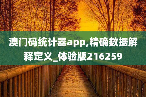 澳门码统计器app,精确数据解释定义_体验版216259