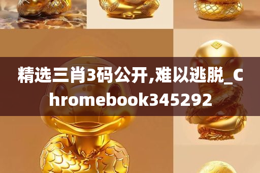 精选三肖3码公开,难以逃脱_Chromebook345292