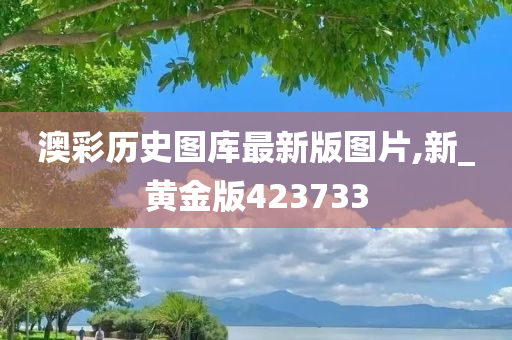 澳彩历史图库最新版图片,新_黄金版423733