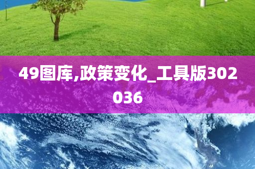 49图库,政策变化_工具版302036