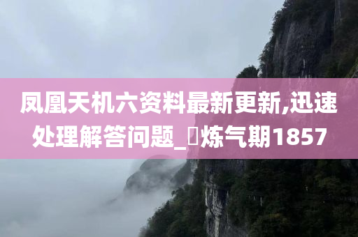 凤凰天机六资料最新更新,迅速处理解答问题_‌炼气期1857