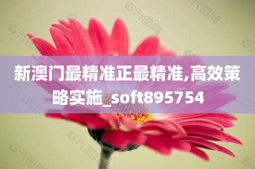 新澳门最精准正最精准,高效策略实施_soft895754