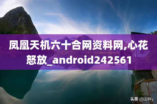 凤凰天机六十合网资料网,心花怒放_android242561