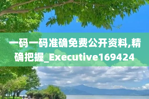 一码一码准确免费公开资料,精确把握_Executive169424