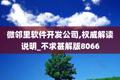 微邻里软件开发公司,权威解读说明_不求甚解版8066