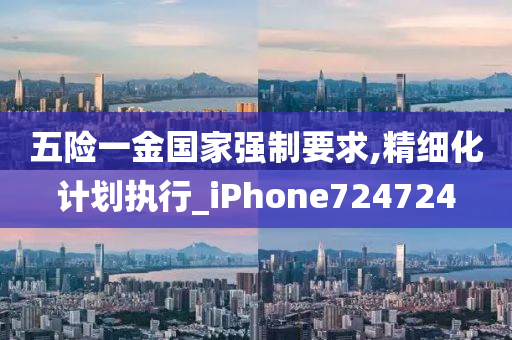 五险一金国家强制要求,精细化计划执行_iPhone724724