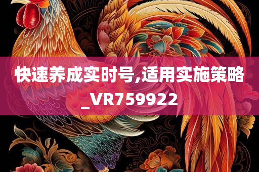 快速养成实时号,适用实施策略_VR759922