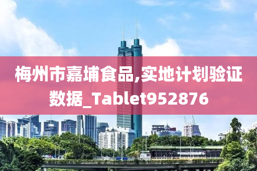 梅州市嘉埔食品,实地计划验证数据_Tablet952876