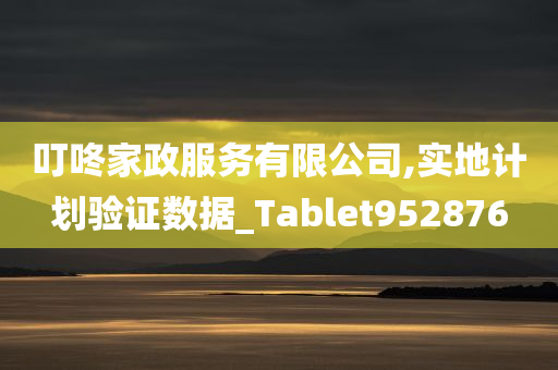 叮咚家政服务有限公司,实地计划验证数据_Tablet952876