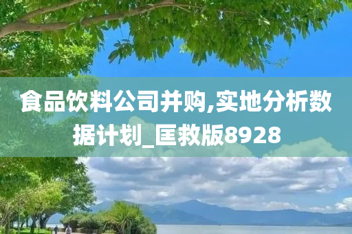 食品饮料公司并购,实地分析数据计划_匡救版8928