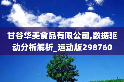 甘谷华美食品有限公司,数据驱动分析解析_运动版298760