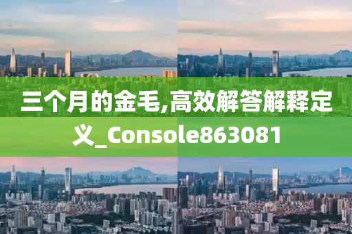 三个月的金毛,高效解答解释定义_Console863081