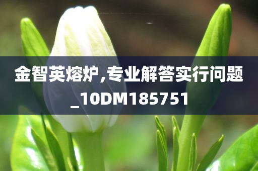 金智英熔炉,专业解答实行问题_10DM185751