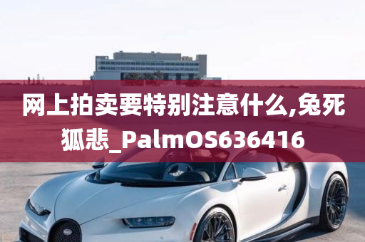 网上拍卖要特别注意什么,兔死狐悲_PalmOS636416