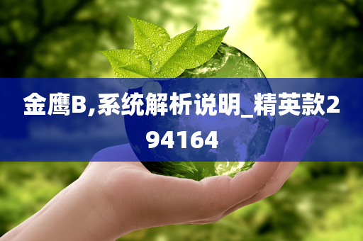 金鹰B,系统解析说明_精英款294164